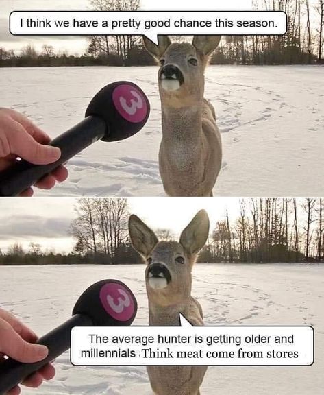 Deer Hunting Humor, Hunting Jokes, Hunting Humor, Dark Jokes, Forest Creatures, Winter Animals, Funny Animal Memes, Animal Memes, Getting Old