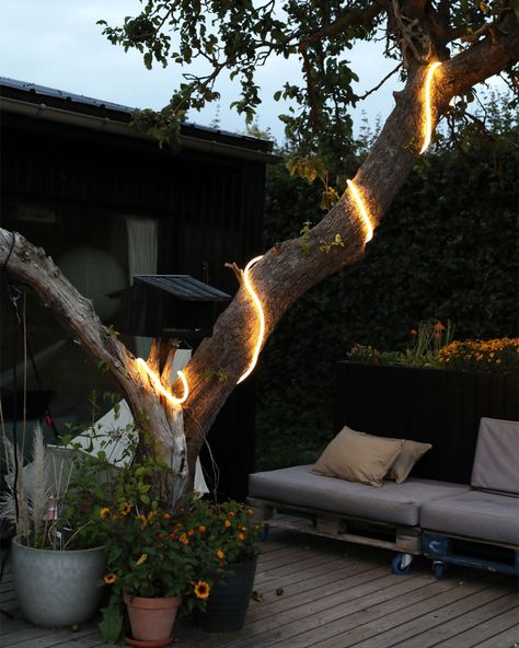 Extend summer by using our beautiful FlexTube light at your outdoor space 💡 Swipe to see how @emmaagersoe uses the light in her beautiful garden. Our FlexTube come in the sizes of 5 and 9 meters and you can be creative in your very own way when you style it at your home 🏡 #studioabout #extendsummer #summernights #flextube #lights #outdoorlights Tube Light, Be Creative, Summer Nights, Beautiful Gardens, Outdoor Space, The Light, Canning, Lighting, On Instagram