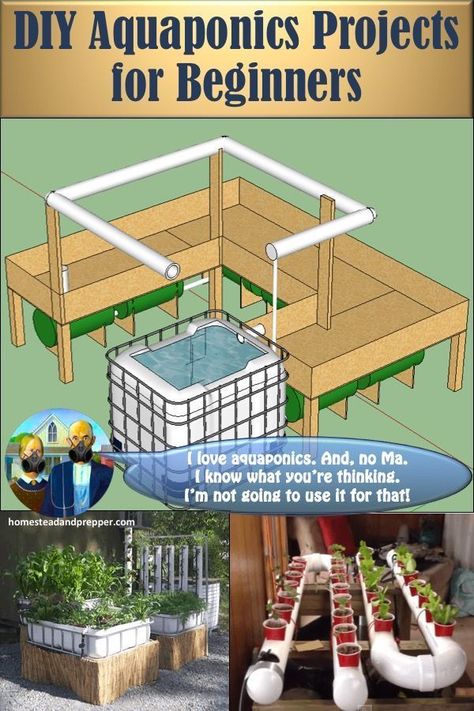 Aquaponics are excellent for growing food in your home. It takes the downsides of each system (aquaculture and … | Aquaponics greenhouse, Aquaponics diy, Aquaponics Aquaponics Greenhouse, Backyard Aquaponics, Aquaponics Fish, Aquaponics Diy, Hydroponic Farming, Aquaponic Gardening, Aquaponics System, Hydroponic Gardening, Growing Food