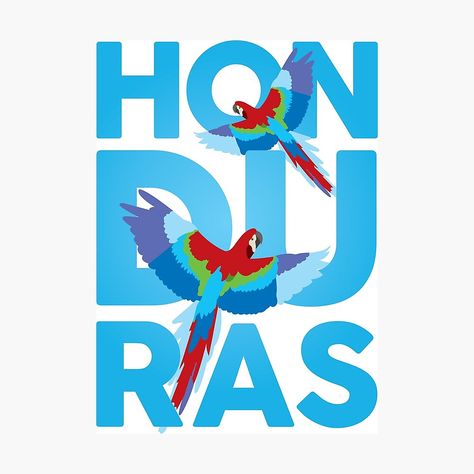 Get my art printed on awesome products. Support me at Redbubble #RBandME: https://www.redbubble.com/i/photographic-print/Honduran-guacamaya-or-Scarlet-Macaw-by-RaveCreative/67848990.6Q0TX?asc=u Roatan, Honduras Wallpaper, Honduras Culture, Honduran Flag, Country Wallpaper, Scarlet Macaw, Cool Comforters, Hispanic Culture, Tufted Rug