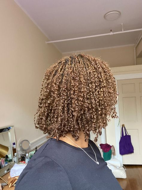 Brown Microlocs, Microloc Journey, Micro Locs, Locs Hairstyles, 4 Months, Locs, Hair Inspo, Hair Ideas, Curly Hair