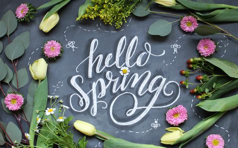 March 20, 2016 - Happy first day of spring! Hello Spring || Deskop wallpaper from http://blog.lilyandval.com March Wallpaper Desktop, Hello Spring Wallpaper, March Wallpaper, Spring Desktop Wallpaper, February Wallpaper, Lily And Val, Zero Wallpaper, Chalk Lettering, Iphone Wallpaper Images