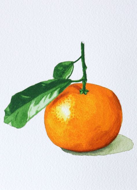 Watercolor Oranges Tutorial, Drawing Of Orange Fruit, Oranges Watercolor Paintings, Fruits Drawing Watercolor, Orange Fruit Watercolor, Painting Of An Orange, Watercolor Orange Fruit, Orange Reference Photo Fruit, Painting Oranges Fruit