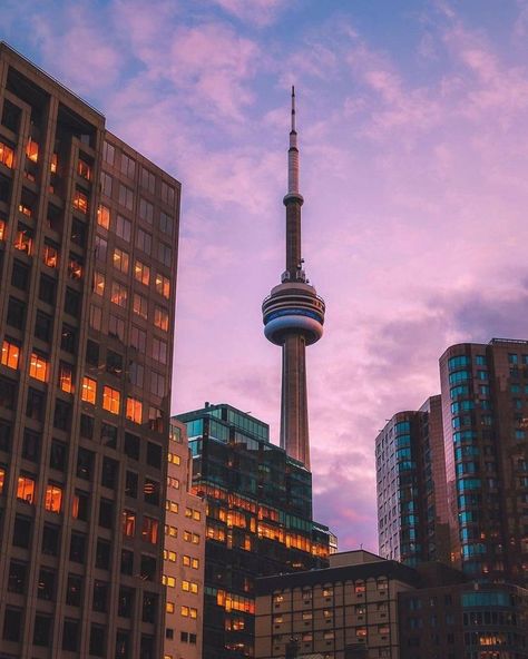 CN tower Photography Buildings, Toronto City, Future Photos, Canada Toronto, Sunset City, Sky Sunset, Take Better Photos, Image Fun, Cool Landscapes