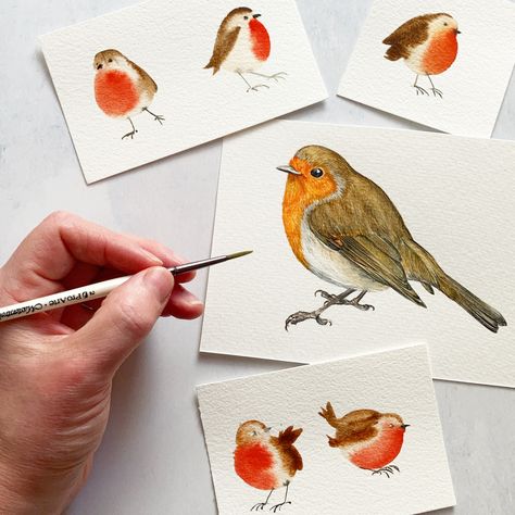 Learn to paint a simple watercolour robin with Harriet de Winton’s latest youtube tutorial. #robin #christmascardsdiy #watercolourinspiration #craftideas #watercolour #christmascraftideas #youtube Watercolour Robin Christmas, Watercolor Robin Tutorial, Harriet De Winton Watercolor, Botanical Painting Watercolour, Robin Christmas Card, Robin Watercolour, Watercolour Robin, Watercolor Birds Tutorial, Watercolor Robin