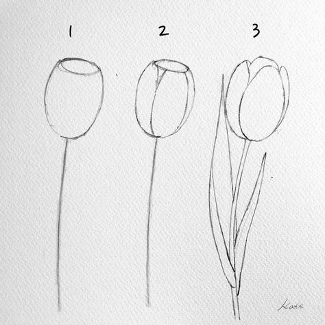 dibujos-a-lapiz-sencillos-tipos-de-tulipanes-para-dibujar-dibujos-sencillos-originales-fotos-de-dibujos-para-calcar Drawing Hands, Lukisan Haiwan, Skitse Bog, Ako Kresliť, Easy Flower Drawings, Desen Realist, Flower Drawing Tutorials, 그림 낙서, Flower Art Drawing