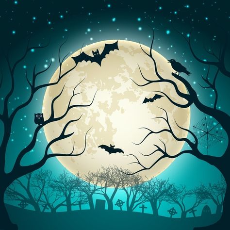 Spooky Castles, Halloween Party Poster, Witch Silhouette, Image Halloween, Halloween Backdrop, Muslin Backdrops, Night Background, Halloween Greetings, Magic Forest