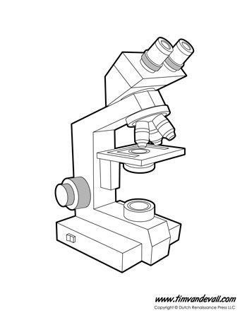 Anatomy of a Microscope Microscope Diagram, Microscope Worksheet, Parts Of A Microscope, College Essay Tips, Biology Test, Science Diagrams, Science Printables, Microscope Parts, Science Quiz