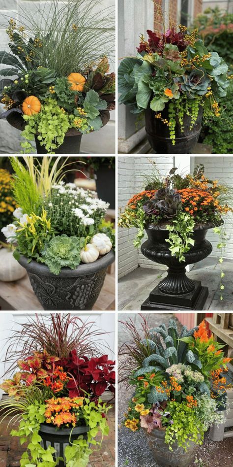 Attractive Fall Planters to Showcase the Colors of Autumn - The Pauline Fall Planter Boxes Front Porches, Fall Planter Box Ideas Front Porches, September Planter Ideas, Fall Front Door Flower Pots, Fall To Winter Planters Front Porches, Outdoor Fall Flowers Planters, Fall Flower Planters, Fall Potted Flowers, Fall Flower Pot Arrangements Outdoor