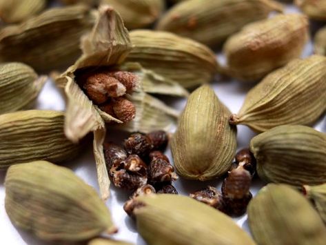 Cardamom is a spice that comes from seed pods. Read on to learn what cardamom tastes like, how to use cardamom and the best substitute for cardamom Cardamom Plant, Russian Tea Cookies, Frosting Colors, Mango Lassi, Spice Up Your Life, Poached Pears, Tea Cookies, Chicken Shawarma, Ideas Food