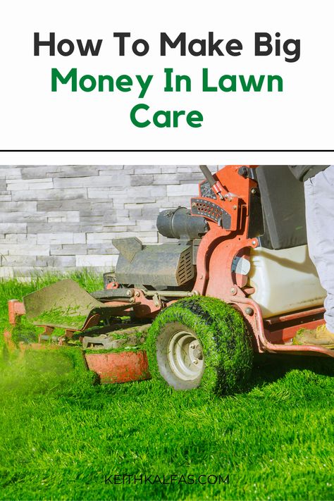 Lawn Business Ideas, Starting A Landscaping Business, How To Start A Landscaping Business, Landscaping Business Ideas, Lawn Maintenance Schedule, Mowing Business, Lawn Mowing Business, Lawn Care Flyers, Lawn Mower Maintenance