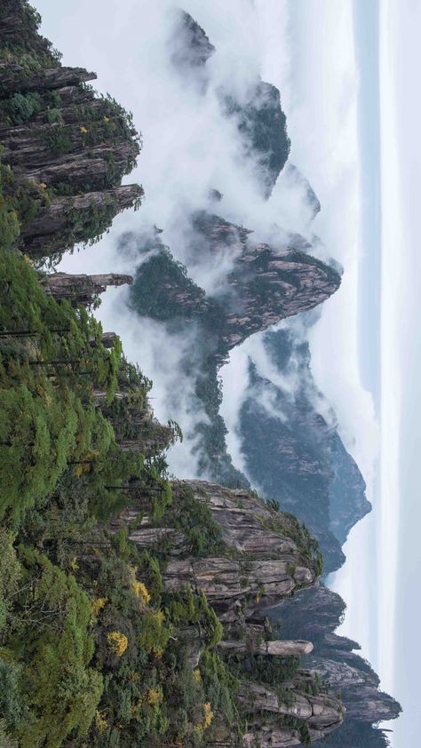 Sea of clouds and peaks of Yellow Mountain or Huangshan Mountain in Huangshan City, Anhui province. Air Kingdom, China Mountains, Shanghai Aesthetic, Mountain Plants, Tianzi Mountains, Yellow Mountains, Huangshan Mountains, Aqua Scape, Sea And Mountains