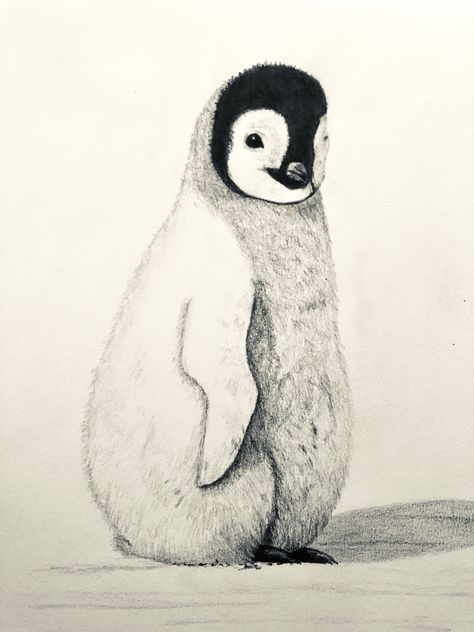 Penguin pencil sketch 2020 Pencil Sketch, Pesto, Penguins, Hobbies, Illustration Art, Sketch, Pencil, Illustrations, Animals