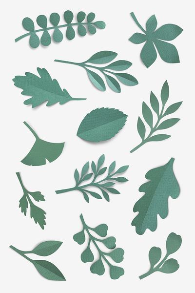 Eucalyptus paper craft leaf isolated | Free PSD - rawpixel Paper Leaves Template, Green Paper Craft, Paper Leaf Template, Leaf Paper Craft, Leaf Design Pattern, Craft Leaf, Leaf Template Printable, Fall Leaf Template, Leaf Templates