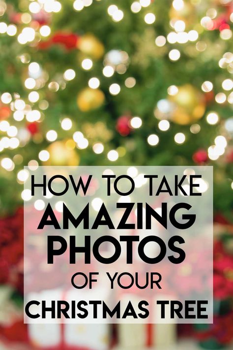 How To Take Pictures In Front Of Christmas Tree, Christmas Tree Light Pictures, How To Take A Silhouette Picture With Christmas Tree, Xmas Tree Photoshoot, Background For Christmas Photos, Photographing Christmas Lights, Bokeh Christmas Lights, Ideas For Christmas Photos, How To Edit Christmas Photos