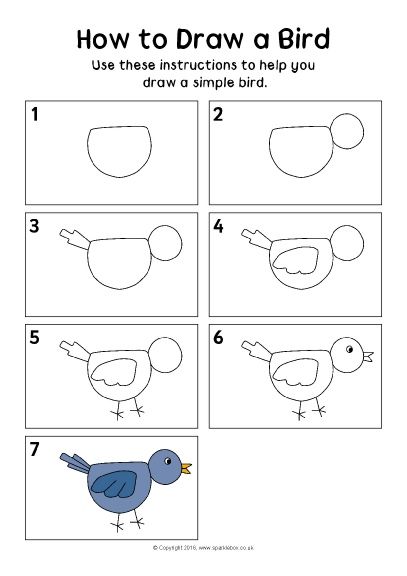 How to Draw a Bird Instructions Sheet (SB11518) - SparkleBox Ako Kresliť, Draw A Bird, Kindergarten Drawing, Birds For Kids, Kindergarten Art Lessons, Drawing Lessons For Kids, Bird Drawing, Directed Drawing, Drawing Step