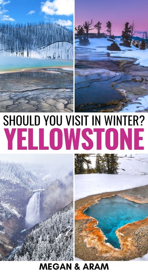 Yellowstone in Winter: Reasons to Visit, Things to Do, & Tips | Are you planning a trip to Yellowstone in winter? This guide details what to do in winter in Yellowstone National Park, including where to stay and more! | Things to do in Yellowstone | Wyoming winter | Visit Yellowstone | US National Parks | Yellowstone in December | Yellowstone in January | Yellowstone in February | Yellowstone snow | Yellowstone wildlife | Things to do in Wyoming | National Parks to Visit in winter Yellowstone National Park In Winter, Yellowstone In February, Yellowstone Winter Vacation, Yellowstone In Winter, Wyoming In Winter, Wyoming Winter, Yellowstone Winter, Yellowstone Vacation, Winter Travel Destinations