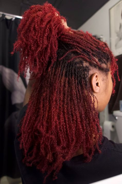 Coloured Microlocs, Red Micro Twist, Red Sisterlocks Black Women, Microlocs Color Ideas Black Women, Red Mini Twists Natural Hair, Microlocs With Color, Copper Microlocs, Dark Red Microlocs, Sister Locs Color Ideas Black Women