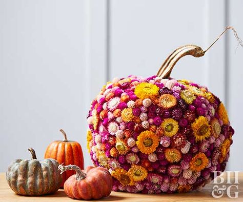 Add dried flowers to a faux pumpkin to create a pretty fall centerpiece. Fall Pumpkin With Flowers, Trendy Painted Pumpkins, Pumpkin With Dried Flowers, Dried Flower Painting, Dried Flower Pumpkin, Flower Painted Pumpkins, Colorful Fall Decor, Fall Flower Ideas, New Fall Decorating Ideas