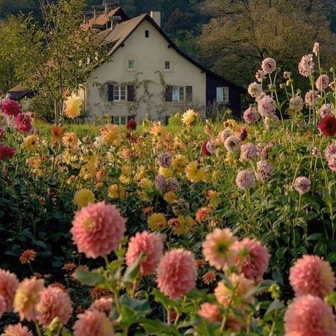 Cottagecore Country Aesthetic, Countryside Life Aesthetic, Country Core Aesthetic, Soft Cottage Core Aesthetic, Countryside House Aesthetic, Soft Country Aesthetic, Soft Cottagecore Aesthetic, English Countryside Aesthetic, Princess Cottage