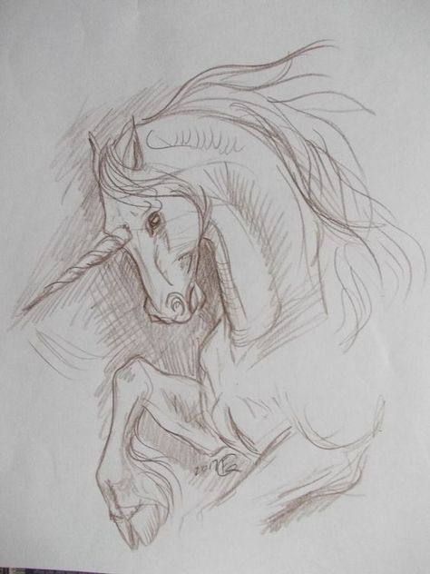 Fantasy Creature Sketch, Unicorn Drawing Aesthetic, The Last Unicorn Drawing, Unicorn Realistic Drawing, Drawing Fantasy Art Sketches Easy, Unicorn Pencil Drawing, Mythical Creatures Sketches, Unicorn Sketch Pencil, Fantasy Animals Drawing