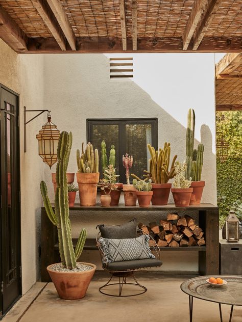 Cactus Garden Backyard, Cactus Outdoor Decor, Terra Cotta Patio Decor, Outdoor Cactus In Pots, Mexican Yard Decor, Small Xeriscape Backyard, Cactus Around Pool, Cactus Container Garden Ideas, Desert Container Gardening