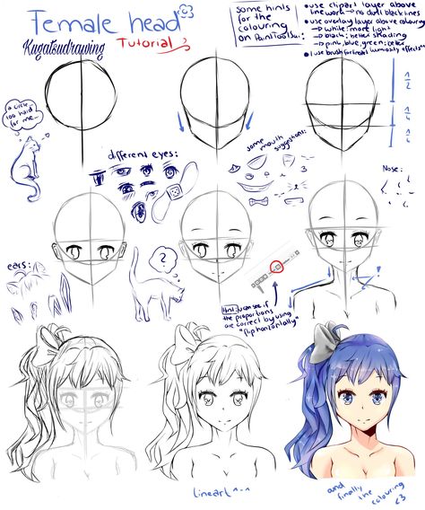 My first step-by-step tutorial, i hope it helps you(๑･̑◡･̑๑) how to draw a Manga girl head Drawing Anime Head Step By Step, Anime Head Toturial, Manga Hair Tutorial Step By Step, Anime Head Construction, Anime Head Tutorial Step By Step, How To Draw Anime Head Step By Step, Manga Tutorial Step By Step, Anime Head Step By Step, How To Draw Manga Face