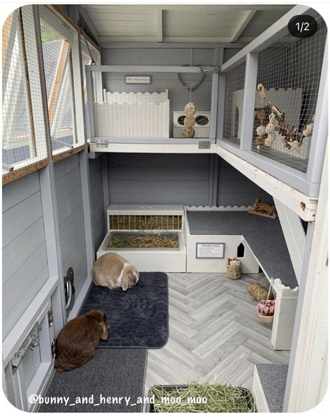 Cool Bunny Cages, Inside Bunny House, Animal Shed Ideas, Bunny Outside Cage, Bunny Home Set Up, Bunny Farm Ideas, Rabbit Incloser, Bunny Houses Outdoor, Outside Bunny Cages