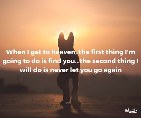 A Girl And Her Dog Quotes, Love Dog Quotes, German Shepherd Dog Quotes, I Miss My Dog, German Shepherd Quotes, Dog Heaven Quotes, Miss My Dog, Dog Poems, Dog Quotes Love