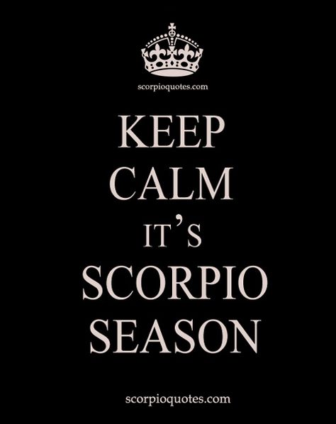 16 SCORPIO SEASON MEME ECARDS: #1 It's Scorpio Season. Hide ya kids, hide ya wife! #2 Keep Calm Cause I'm an October Baby. #3 Keep Calm November Babies Rock! #4 Scorpio Season, Is that you playa? Scorpio Season Quotes, November Born Quotes, Scorpio Month, Scorpio Season Is Here, Bday Status, November Birthday Quotes, October Scorpio, Month Symbols, Scorpio Meme