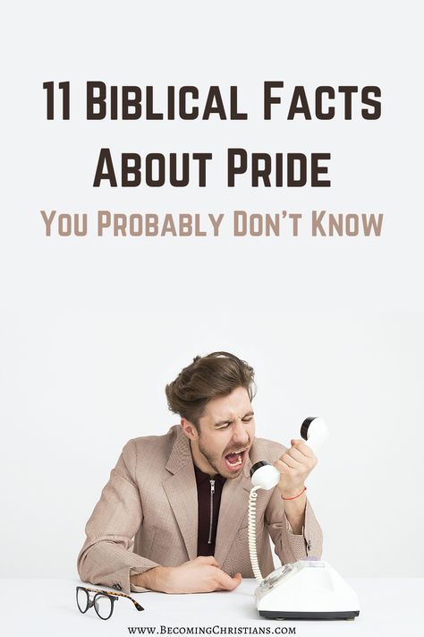 What does the Bible say about pride? In this post, let me share with you 10 passages in the Bible that tells you what pride is and how destructive it can be in your life. Being Prideful Quotes, The Sin Of Pride, Pride In The Bible, Quotes About Pride, Pride Sayings, Pride Sin, Biblical Facts, Bible Blessings, Proverbs 26