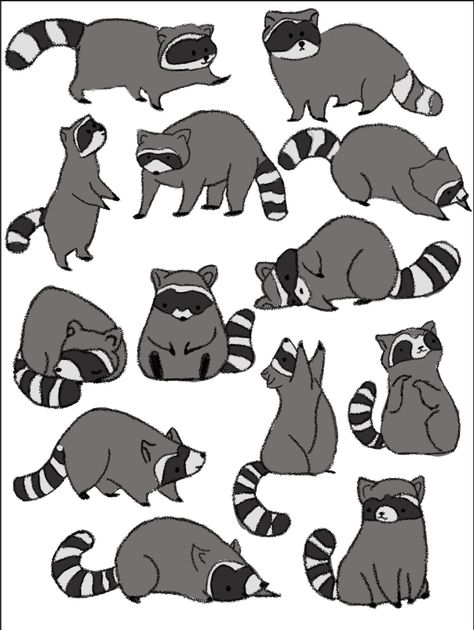 I love this so much!!! Ahhhhh!!! Raccoon Anatomy Drawing, Silly Raccoon Drawing, Raccoon And Possum Drawing, Raccoon Doodle Easy, Raccoon Sketch Simple, Raccoon Drawing Sketches, Raccoon Drawing Reference, Raccoon Cartoon Drawing, Simple Raccoon Drawing