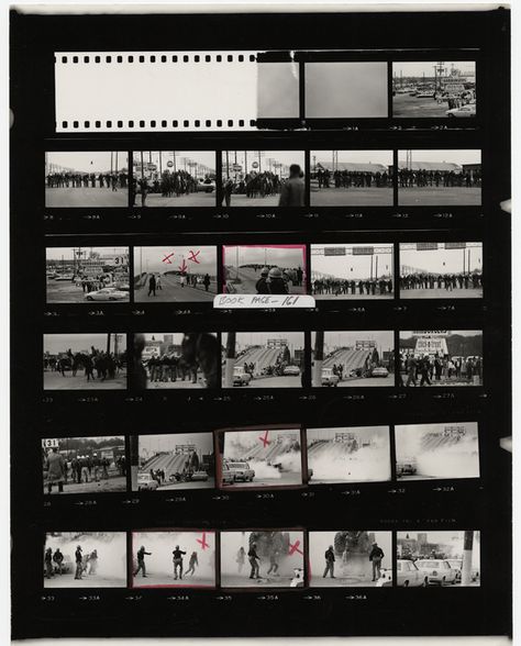 Selma March, Charles Moore, High Museum Of Art, Photography Museum, Tokyo Museum, Contact Sheet, Milwaukee Art Museum, Robert Frank, School Schedule