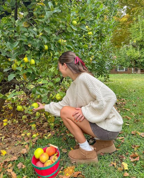 Apple Picking Couples Photos, Fall Outfits For Apple Picking, Apple Farm Outfit, Apple Picking Picture Ideas, Apple Picking Photoshoot Friends, Cider Mill Photoshoot, Apple Picking Photo Ideas, Apple Orchard Instagram Pictures, Apple Picking Fits