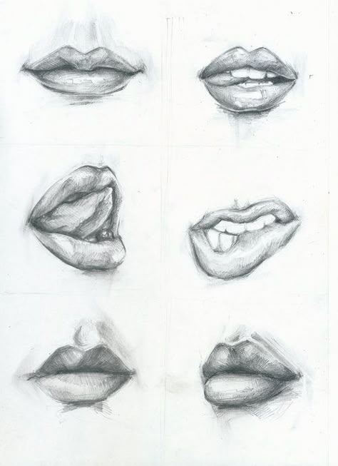 They look simple to draw but everything on faces takes alot of practice. Realistic Features Drawing, Fundamental Of Drawing, Mouth Drawing Reference Realistic, Lips Drawing Sketch, Realistic Lips Drawing, Lips Drawing Reference, Mouth Sketch, Lips Sketch, Drawing Hands