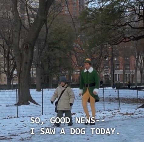 So, good news...I saw a dog today! #wildfoxcouture #elf Chandler Quotes, Elf 2003, Fair Quotes, Elf Quotes, Best Movie Quotes, Elf Movie, Work Quotes Funny, Love Actually, Film Quotes