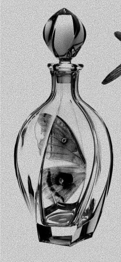 Tattoo Decoration Ideas, Stipple Realism Tattoo, Decanter Tattoo, Flash Book Tattoo, Glass Vase Tattoo, Illustrative Realism Tattoo, Micro Realism Tattoos, Realism Tattoo Flash, Glass Bottle Tattoo