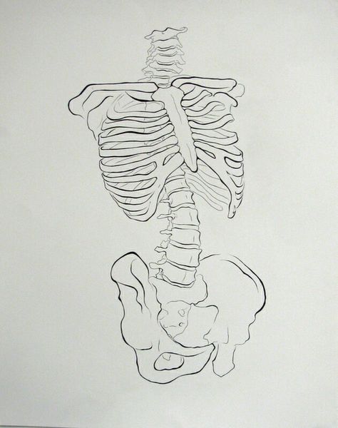 Skeleton Drawing, 심플한 그림, Skeleton Drawings, Human Skeleton, Human Anatomy Art, Skeleton Art, Sketch Ideas, Arte Inspo, Arte Sketchbook