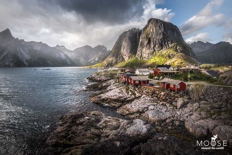 Fototipps Lofoten | Über 25 Fotospots für dein Abenteuer in Nordnorwegen Moose, Norway, Around The World, Highlights, Natural Landmarks, The World, Travel, Pins, Nature