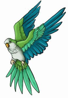 Quaker parrot   [L] Quaker Parrot Art, Quaker Parrot Drawing, Quaker Parrot Tattoo, Hummingbird Art Drawing, Parrot Illustration, Quaker Parrot, Parrot Tattoo, Parrot Drawing, Cute Bear Drawings