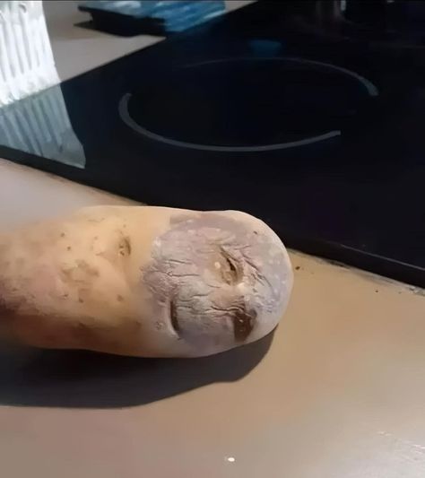 I don’t know if I should cook this potato, or take it to the hospital. 😅 Potato Meme, Image Meme, How To Cook Potatoes, The Hospital, I Don T Know, Don T Know, Country Life, Gardening Tips, Funny Stuff