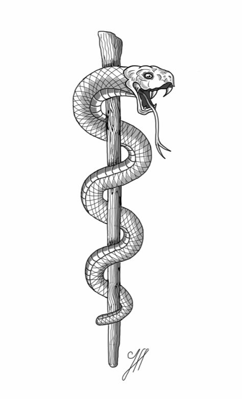 Snake Around Staff Tattoo, Snake And Staff Tattoo, Moses Staff Tattoo, Medical Snake Tattoo, Staff Of Asclepius Tattoo, Asclepius Aesthetic, Rod Of Asclepius Tattoo Feminine, Rod Of Asclepius Tattoo, Asclepius Tattoo