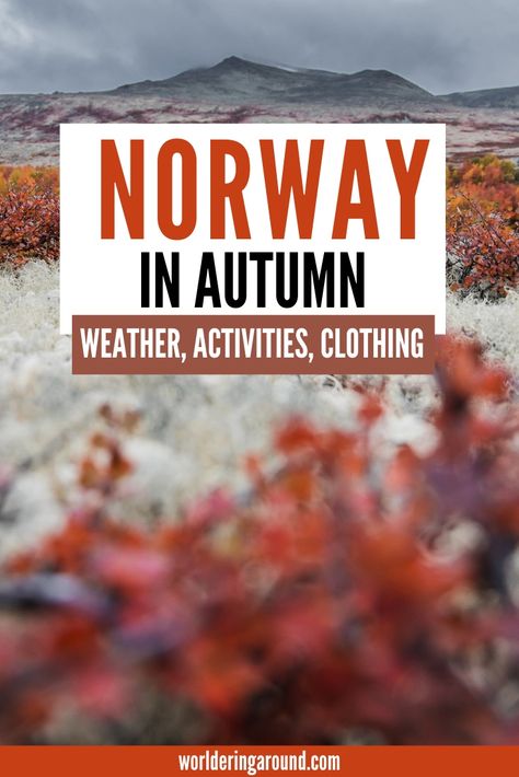 Norway in autumn - what to do in Norway in the fall, the weather in autumn in Norway, what clothes to wear in Norway in autumn and what to pack + more #norway #fall #autumn #scandinavia Norway Autumn Outfits, Norway Packing List Fall, What To Wear In Norway In September, Autumn Scandinavian, Norway Autumn, Norway Fall Outfits, Norway Packing List, Norway Clothing, Norway Vacation