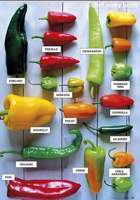 Fruits And Vegetables List, Types Of Peppers, Hot Sauce Recipes, نباتات منزلية, Candy Land Christmas Decorations, Food Info, Cooking Basics, Food Facts, Candy Land Christmas