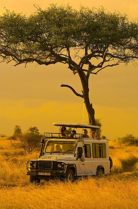 Rp Pfp, Tanzania Travel, Tanzania Safari, Serengeti National Park, Africa Destinations, On Safari, Africa Do Sul, Safari Travel, 사진 촬영 포즈