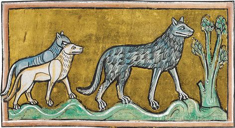 A wolf with cubs from the Rochester Bestiary, c.1230 (not Anglo-Saxon). Royal 12 F.XIII, f.29 © British Library Board/Bridgeman Images. Wolf With Cubs, Medieval Literature, Medieval Cosplay, Medieval Artwork, The Werewolf, Illustrated Manuscript, Medieval England, Wolf Illustration, Wolf Stuff