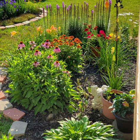 Indiana Flower Bed Ideas, Native Indiana Landscaping, Indiana Gardening, Indiana Vegetable Garden, Ohio Wildflowers Native Plants, Incrediball Hydrangea, Succulent Pumpkin, Smooth Hydrangea, Hydrangea Arborescens