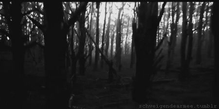 Emo Gif, Tv Texture, Horror Gif, Paranormal Videos, Witch Gif, Gif Black, White Gif, Black And White Gif, Anime Kiss Gif