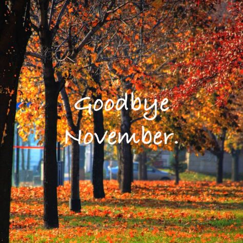 Goodbye November, Hello November, Random Pictures