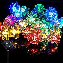 Backyard Fairy Lights, Flower Fairy Lights, Christmas Wedding Decorations, Solar Flower, Christmas Fairy Lights, Solar String Lights Outdoor, Patio String Lights, Patio Fence, Christmas String Lights